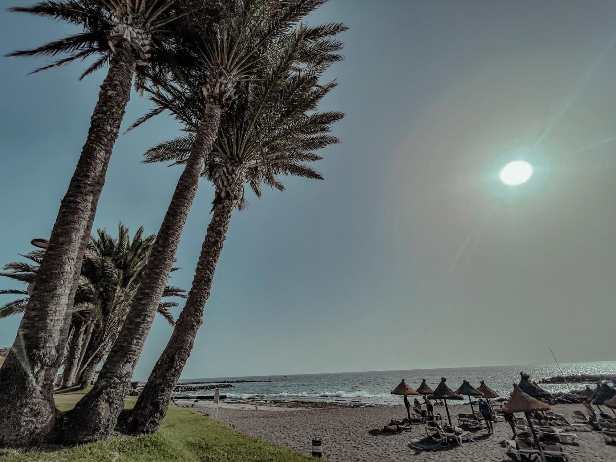 Ferienwohnung Viktoria Sur Playa de las Américas Exterior foto
